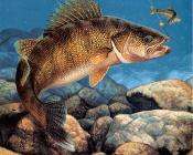 马克 苏祖尼奥 : Stinger-Hooked Walleye